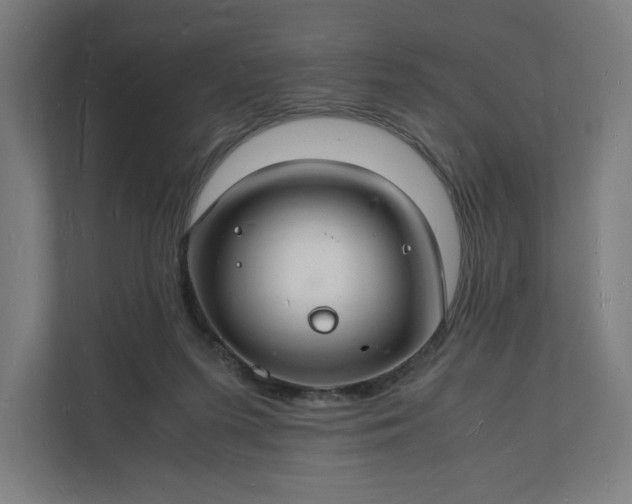 X0000112150215200908211421