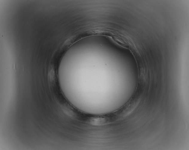 X0000112150220200908211420