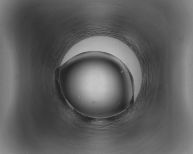 X0000112150221200908211420