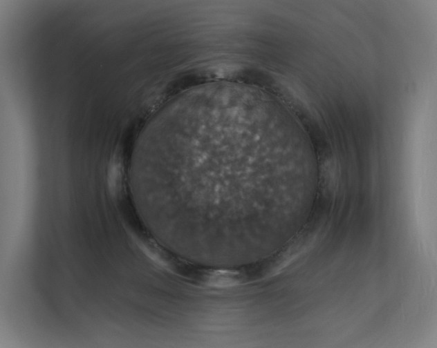 X0000112150222200908211420