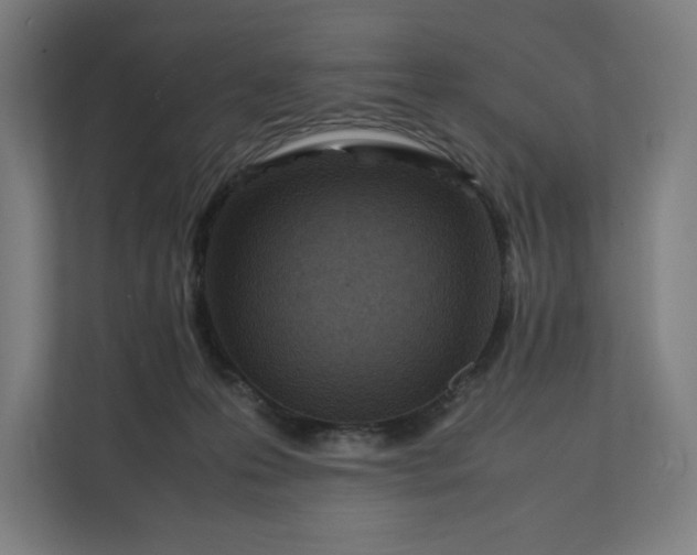 X0000112150223200908211420