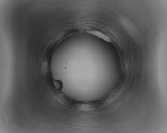 X0000112150224200908211420
