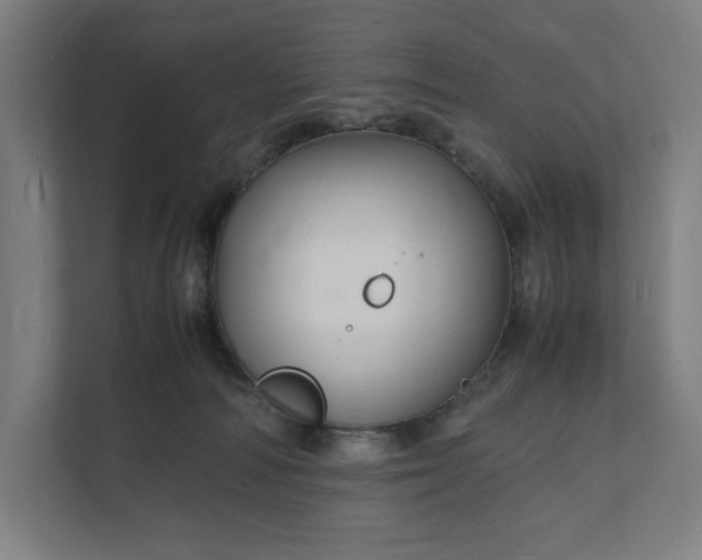X0000112150226200908211420