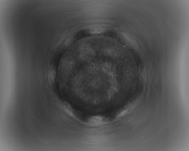 X0000112150227200908211420