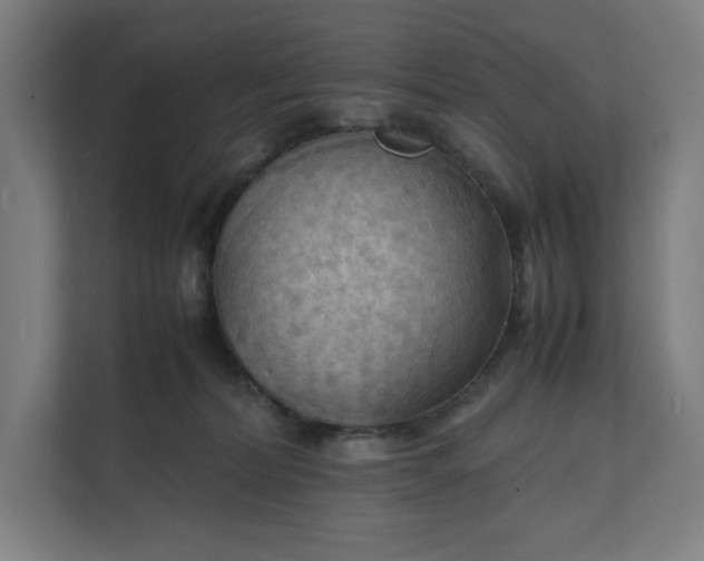X0000112150228200908211420