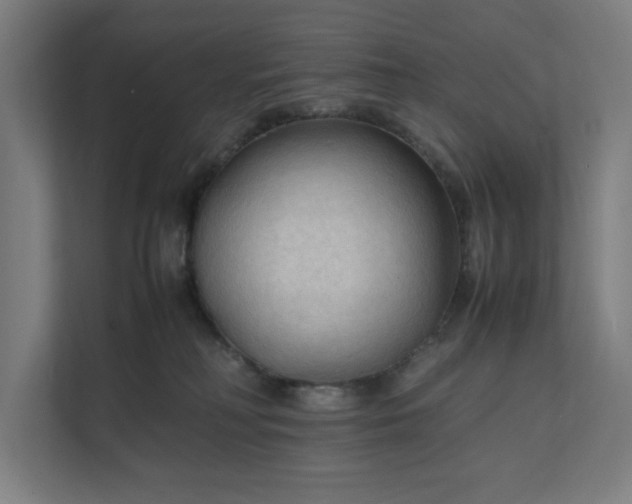 X0000112150230200908211420