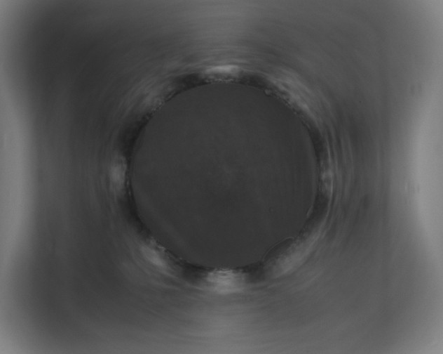 X0000112150231200908211420