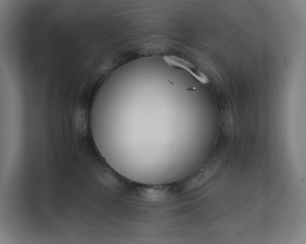 X0000112150232200908211420