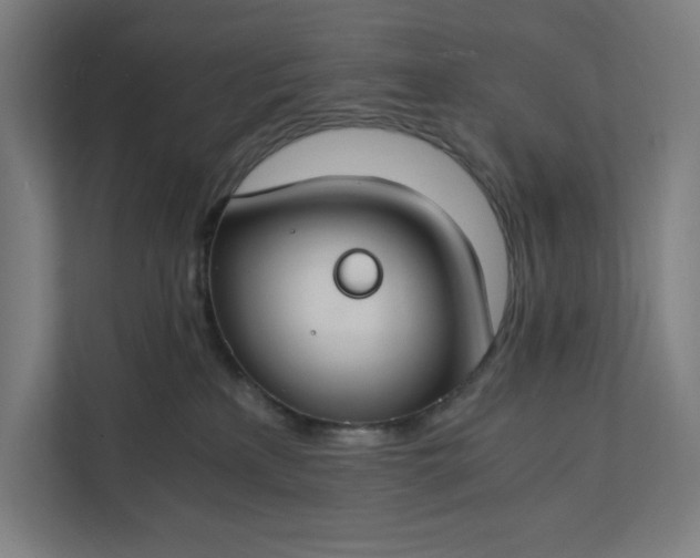 X0000112150233200908211420