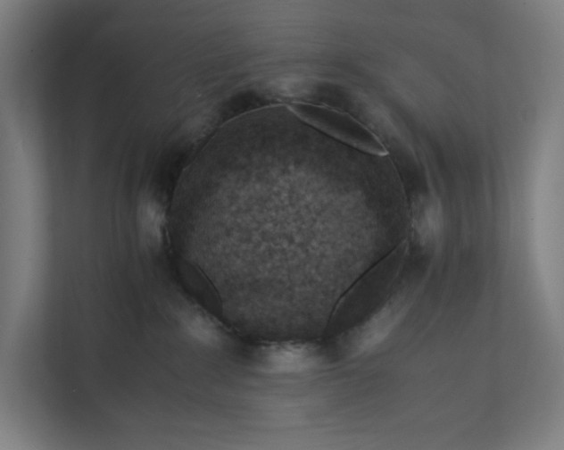 X0000112150235200908211420