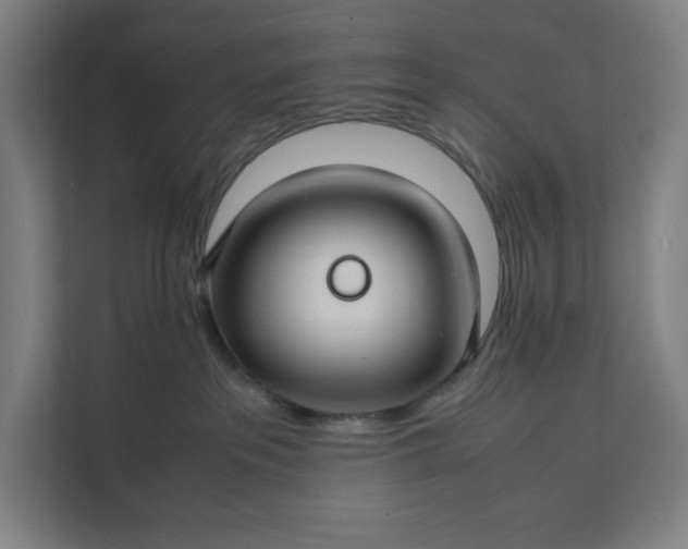 X0000112150237200908211420