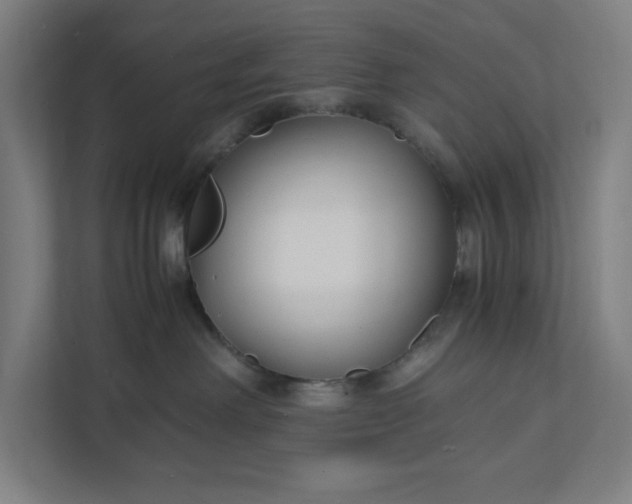 X0000112150238200908211420