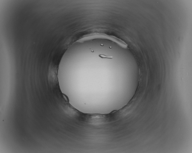 X0000112150240200908211420