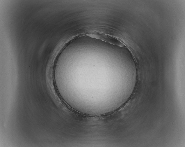 X0000112150241200908211420