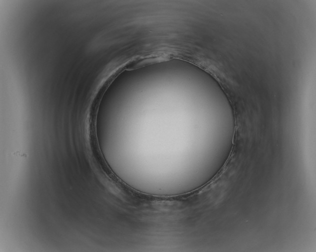 X0000112150242200908211420