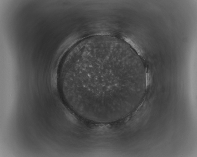 X0000112150243200908211420