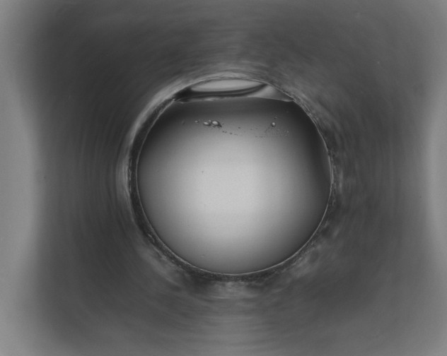 X0000112150244200908211420