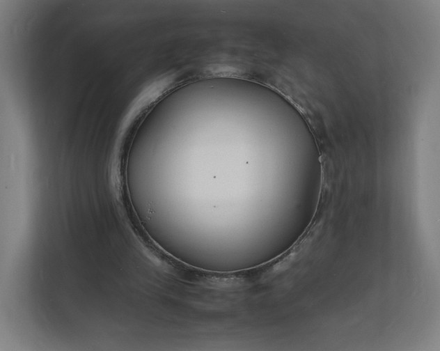 X0000112150245200908211420