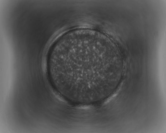 X0000112150247200908211420