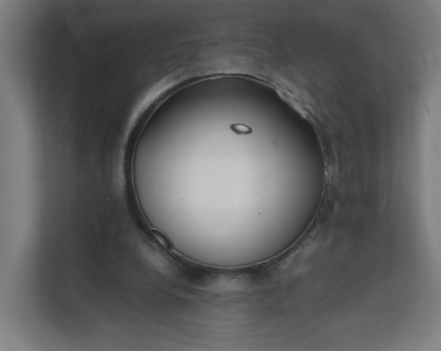 X0000112150248200908211420