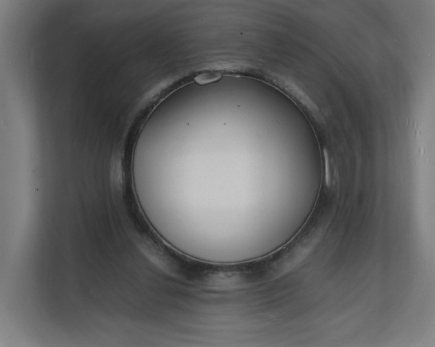 X0000112150252200908211420