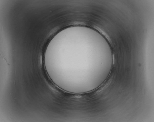 X0000112150253200908211420