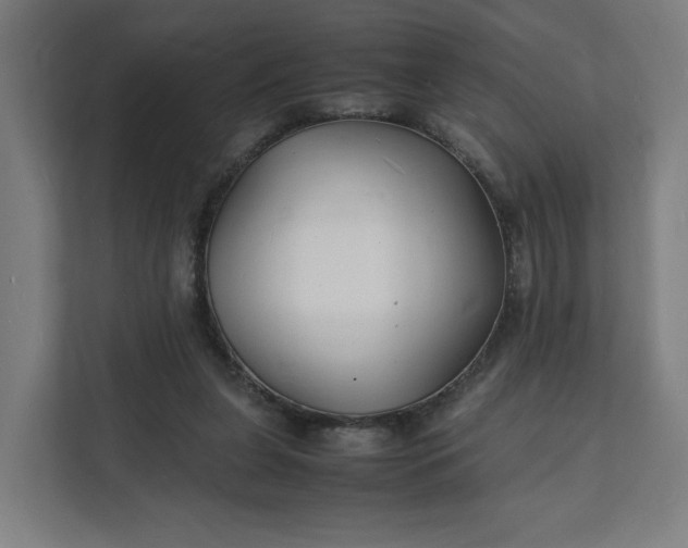 X0000112150255200908211420