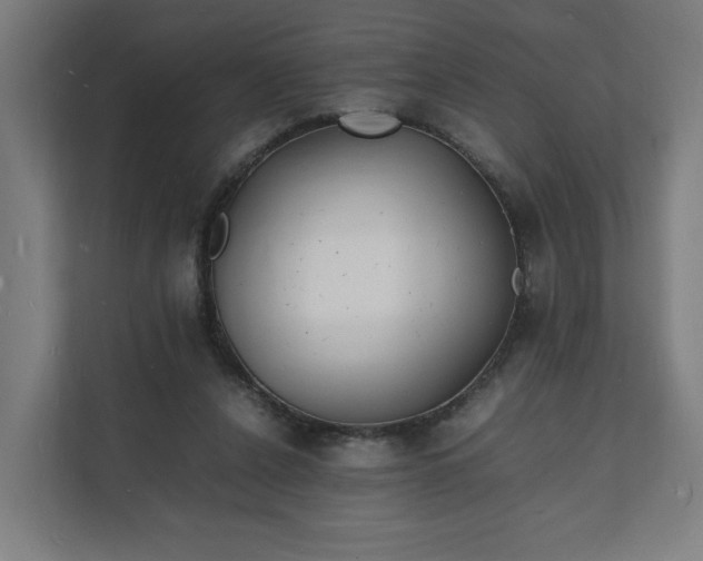 X0000112150256200908211420