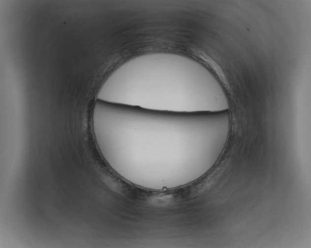 X0000112150257200908211420