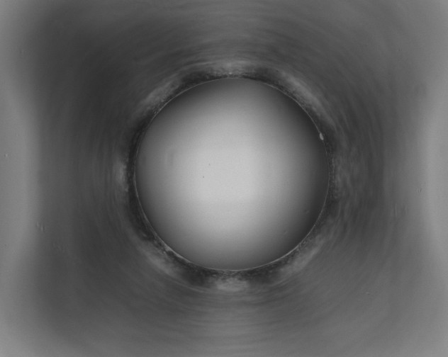 X0000112150258200908211420