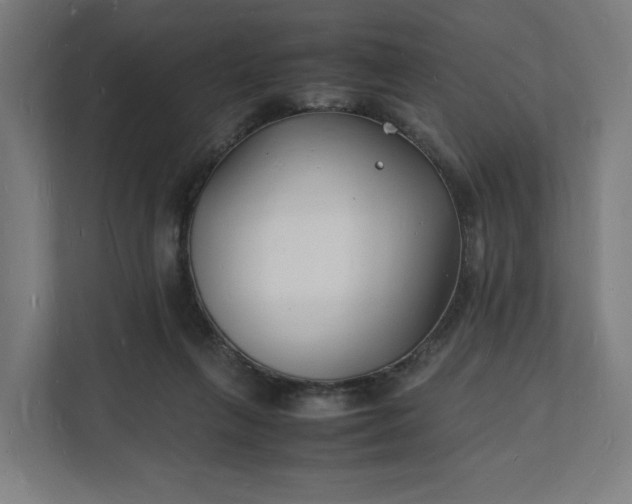 X0000112150263200908211420