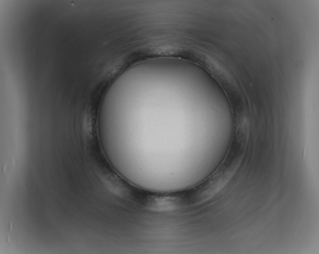 X0000112150268200908211420