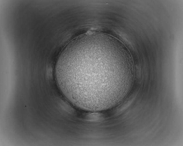 X0000112150269200908211420