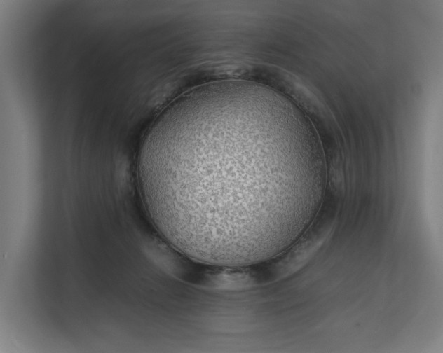 X0000112150270200908211420