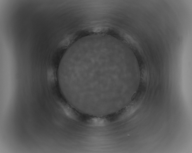 X0000112150272200908211420