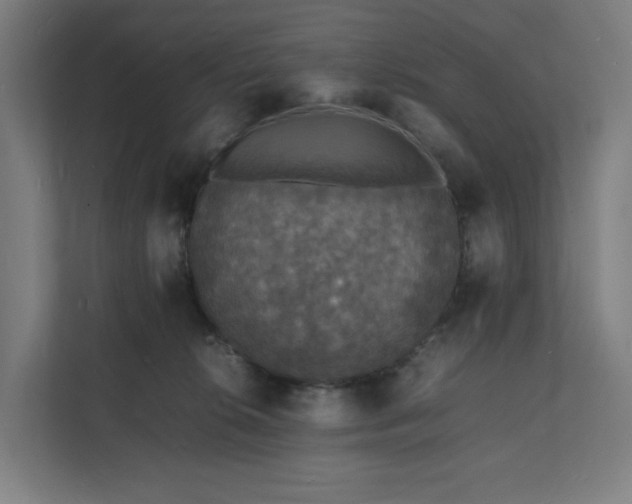 X0000112150276200908211420