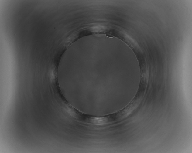 X0000112150277200908211420