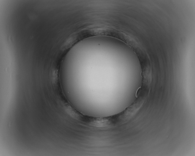 X0000112150278200908211420
