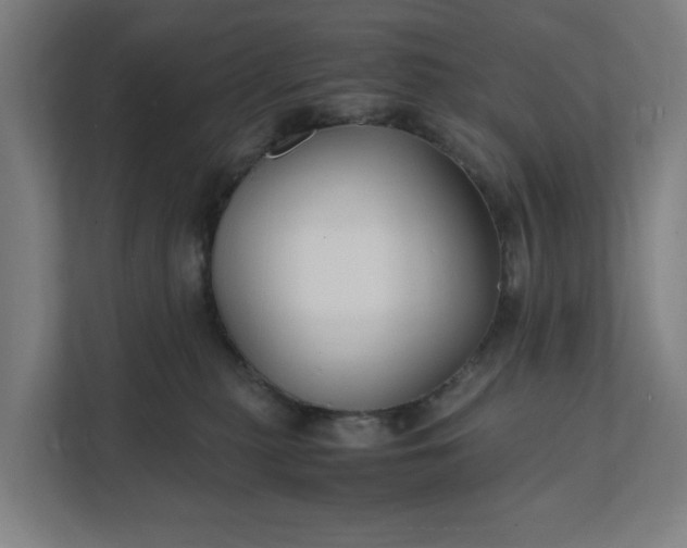 X0000112150279200908211420