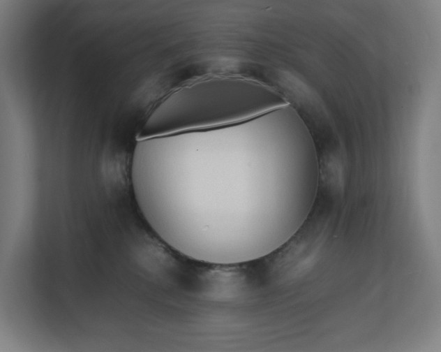X0000112150280200908211420