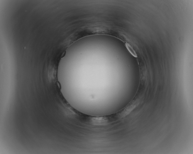 X0000112150281200908211420