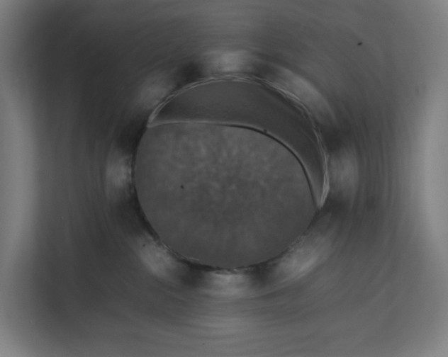 X0000112150284200908211420