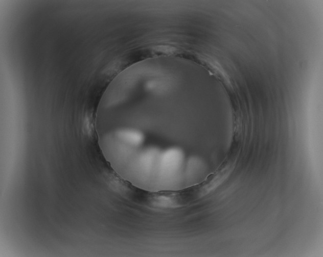 X0000112150285200908211420