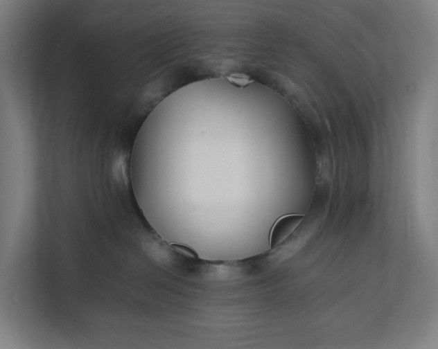 X0000112150286200908211420