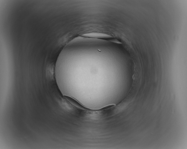 X0000112150288200908211420