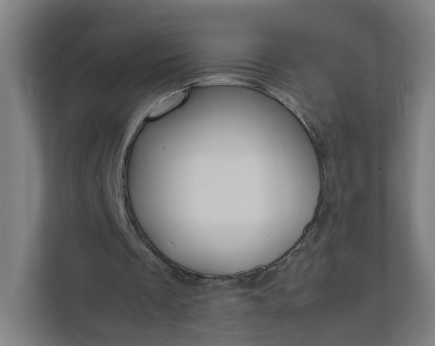 X0000112150289200908211420