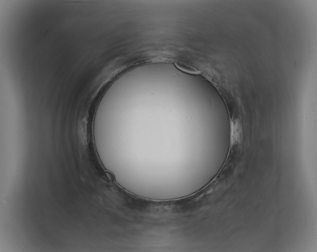X0000112150291200908211420