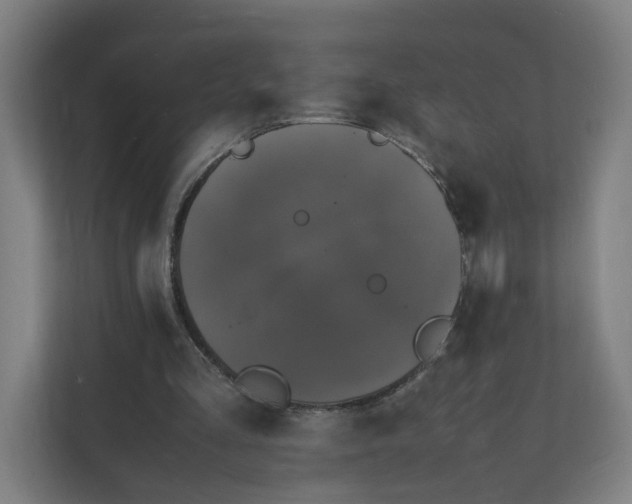X0000112150293200908211420