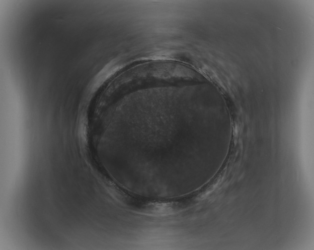 X0000112150295200908211419