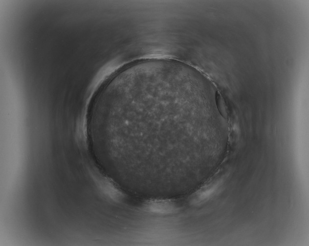 X0000112150296200908211419